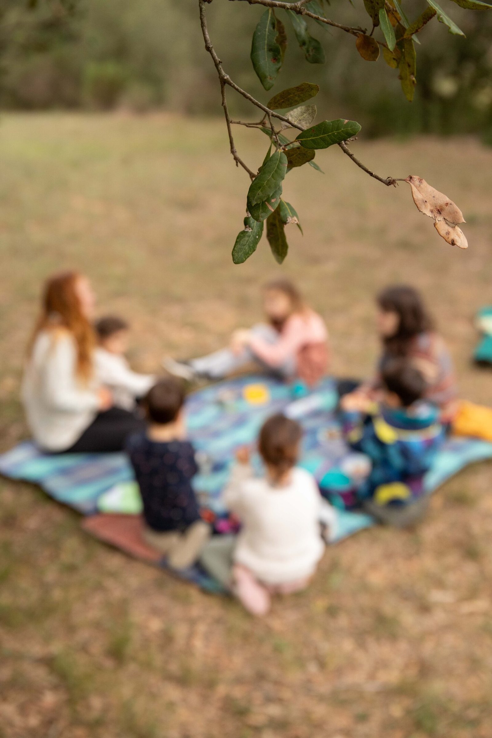 Forest school (35 of 227)